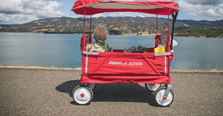 7 Reasons You Need Stroller Wagon